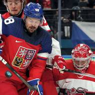 Tomáš Hertl před brankou.