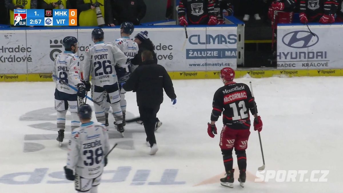 Hradecký Mudrák a litvínovský Šenkeřík dostali tresty na dva zápasy