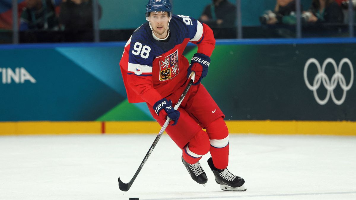 Dvě třetiny jsme hráli dobře, mínil Nečas. Dostál se blýskl parádou proti McDavidovi