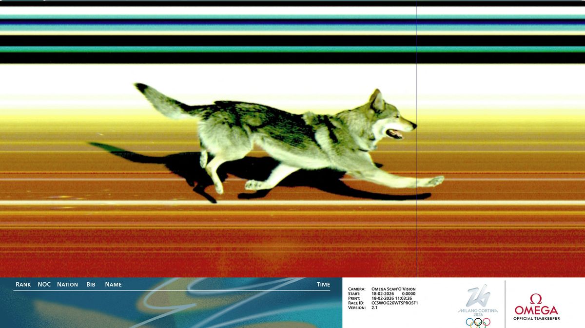 Československý vetřelec na cílové fotce. Pes na trati vyděsil závodnice a rozhodil pořadatele