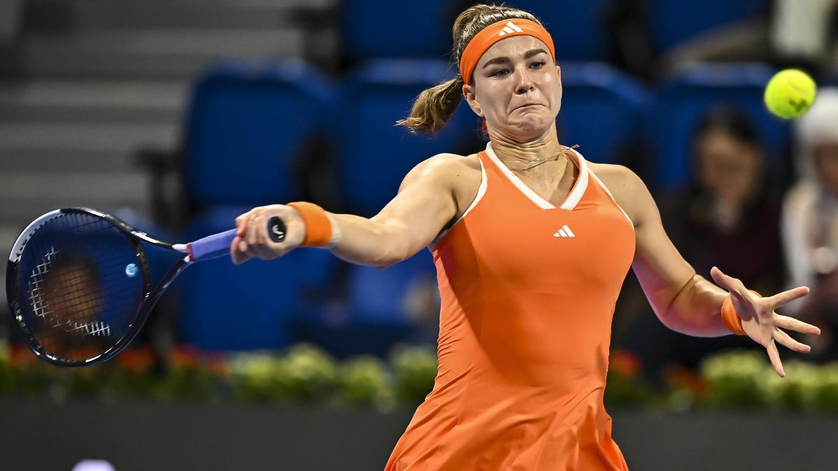 České derby mezi Muchovou a Plíškovou skončilo skrečí bývalé světové jedničky