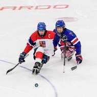 Radek Zelinka odehrál proti USA stý zápas v národním dresu