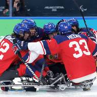 Radost českých hokejistů ze vstřelené branky