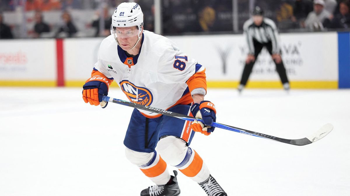 Sázka mezi českými hráči v NHL. Palát musel na zápas v jihlavském dresu