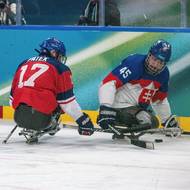 Theodor Pátek v akci proti Slovensku