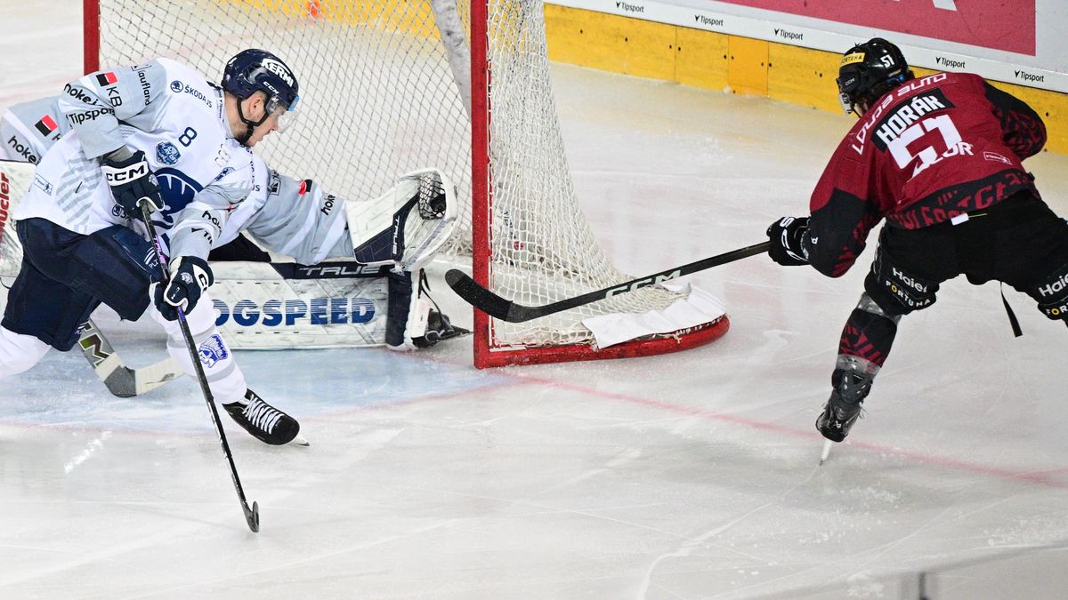 Super zákrok! Anebo gól? Rozhodčí na Spartě zkoumali video, Nedvěd se hodně divil