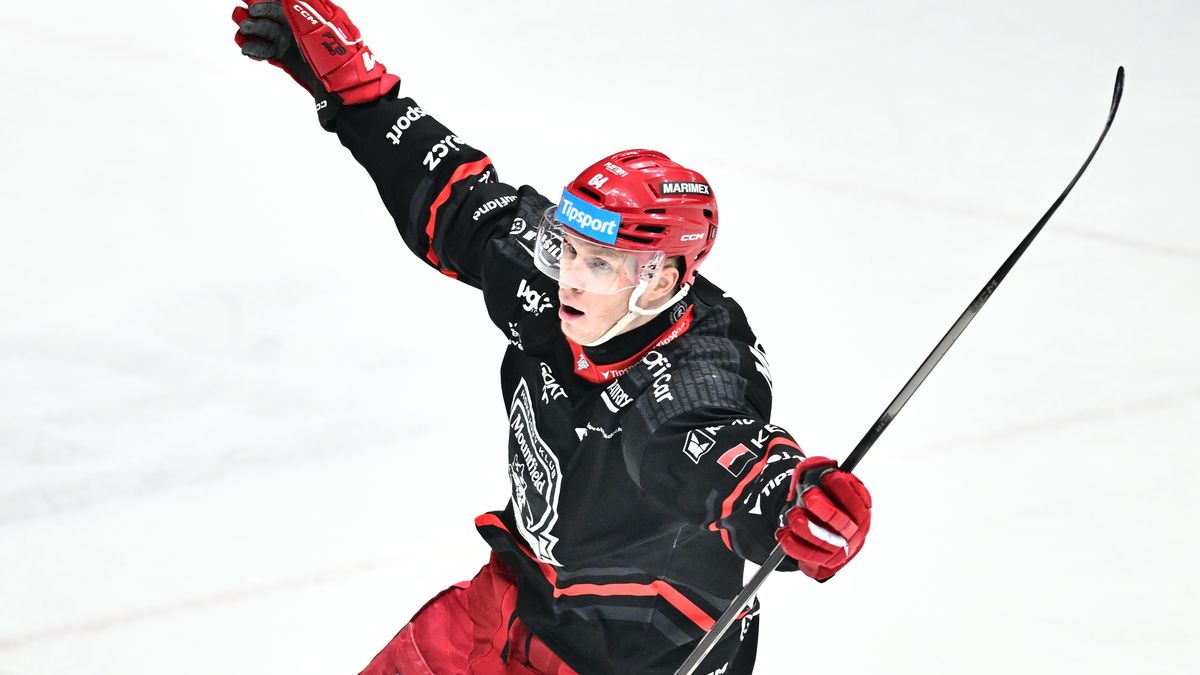 HOKEJ ONLINE: Videomomenty. Hradec dvěma góly během minuty srovnal, jde se do prodloužení