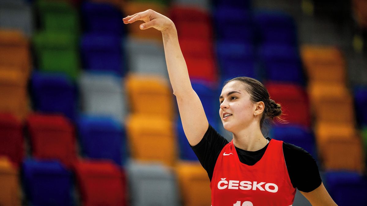 Basketbalistka Hamzová skončila v týmu Minnesoty