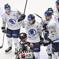 Hokejisté Plzně se radují z gólu. 