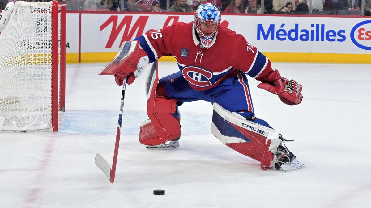 Parádní česká jízda. Dobeš a Zacha vládli uplynulému týdnu v NHL