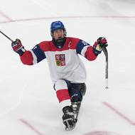 Kapitán Radek Zelinka burcuje publikum po své brance