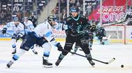 HOKEJ ONLINE: Videomomenty. Rarita v Liberci, sedmý zápas se zatím hraje bez vyloučení! Bílí Tygři nastřelili tyčku