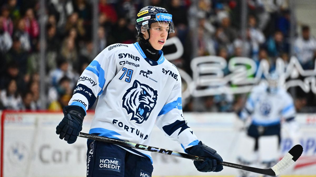 Tygři slavili vedle šesti gólů i prodloužení smlouvy s Galvasem. Věřím liberecké cestě, řekl