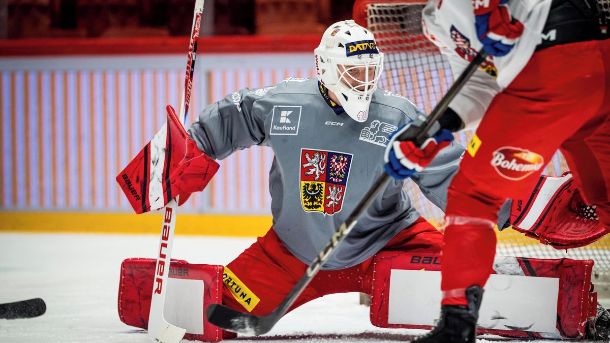 Bednáře čeká premiéra ve Vídni proti Rakušanům