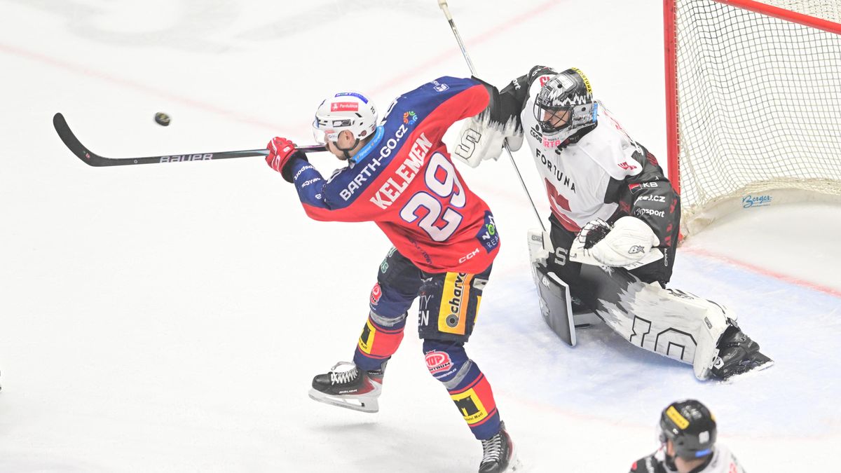 Neuznaný gól? Prokazatelný záběr jsem nenašel, prohlásil Pešán. My vám ho pošleme, reagoval Nedvěd