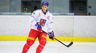 Bylo by krásné se po podpisu smlouvy s Edmontonem ještě podívat na MS, ví Tomáš Cibulka. Jeho rodina skupuje lístky na turnaj v Budějovicích