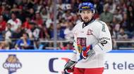 HOKEJ ONLINE: Ztráta pro český tým. Zakrvácený Černoch odjel do šatny