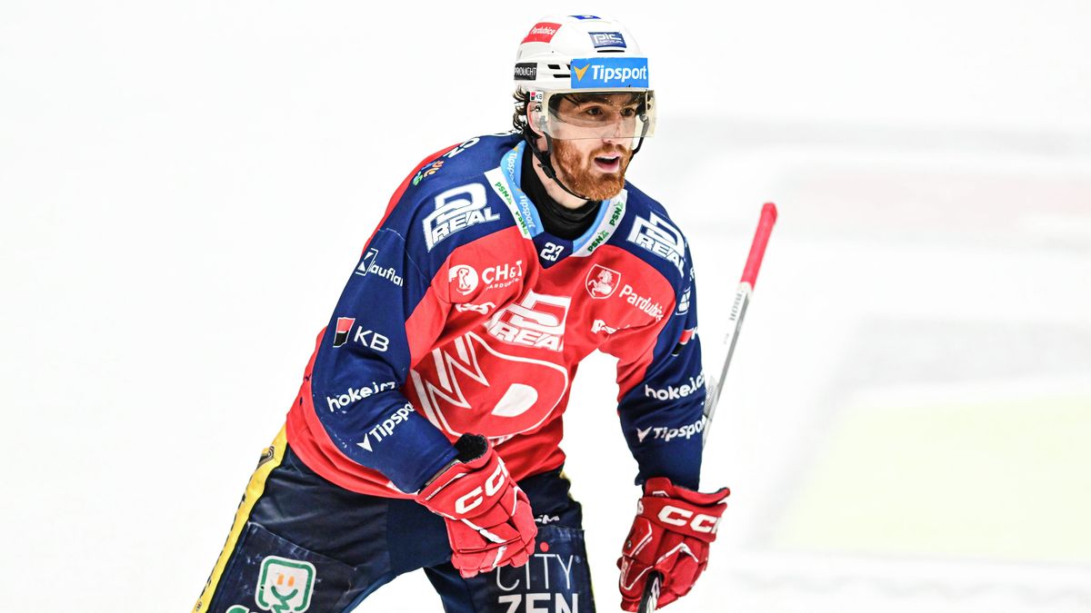 Hrehorčák vyzýval Sedláka ke rvačce. Nejsem blázen, odmítl. S klukem ze třetí lajny se prát nemůže, řekl kouč