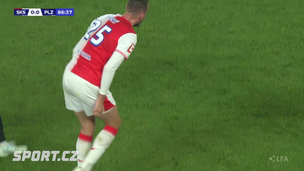 Komise si posvítila na plivanec Chorého