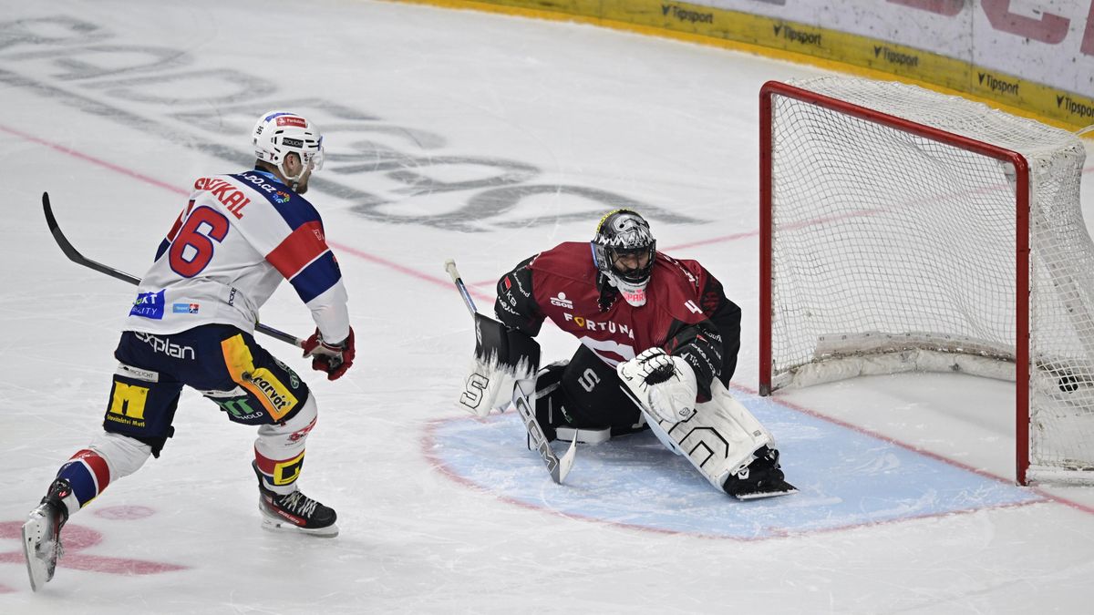 Nájezdy jsou loterie, mělo by se prodlužovat do rozhodnutí, štve Nedvěda. Sedlák souhlasí