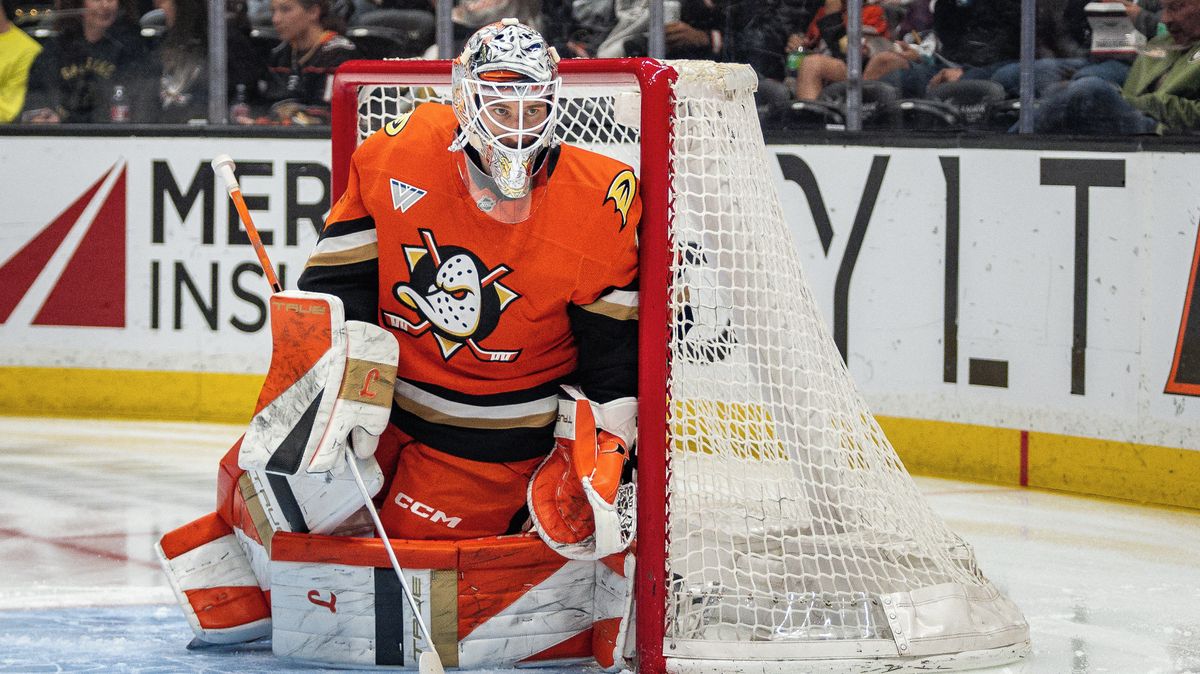 Propad v nejhorší možnou chvíli. Anaheim hoří, Dostál nestíhá hasit