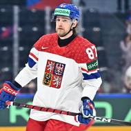 Michal Kovařčík.