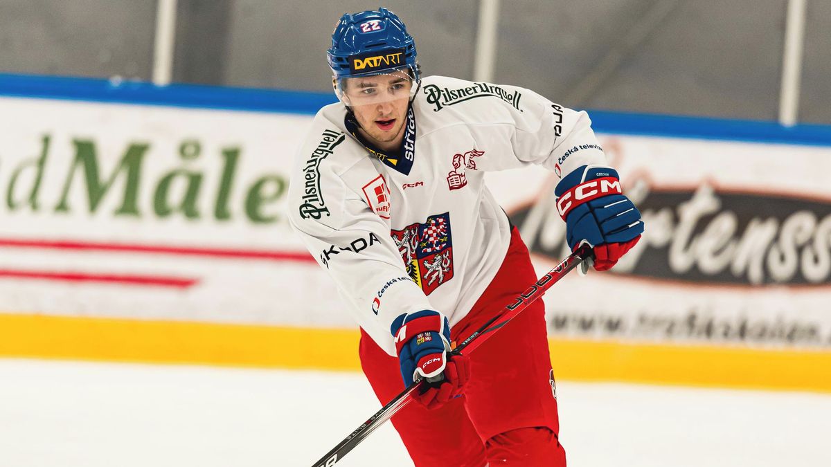 Sen o NHL nevzdává. Český bek si znovu plácl s Floridou