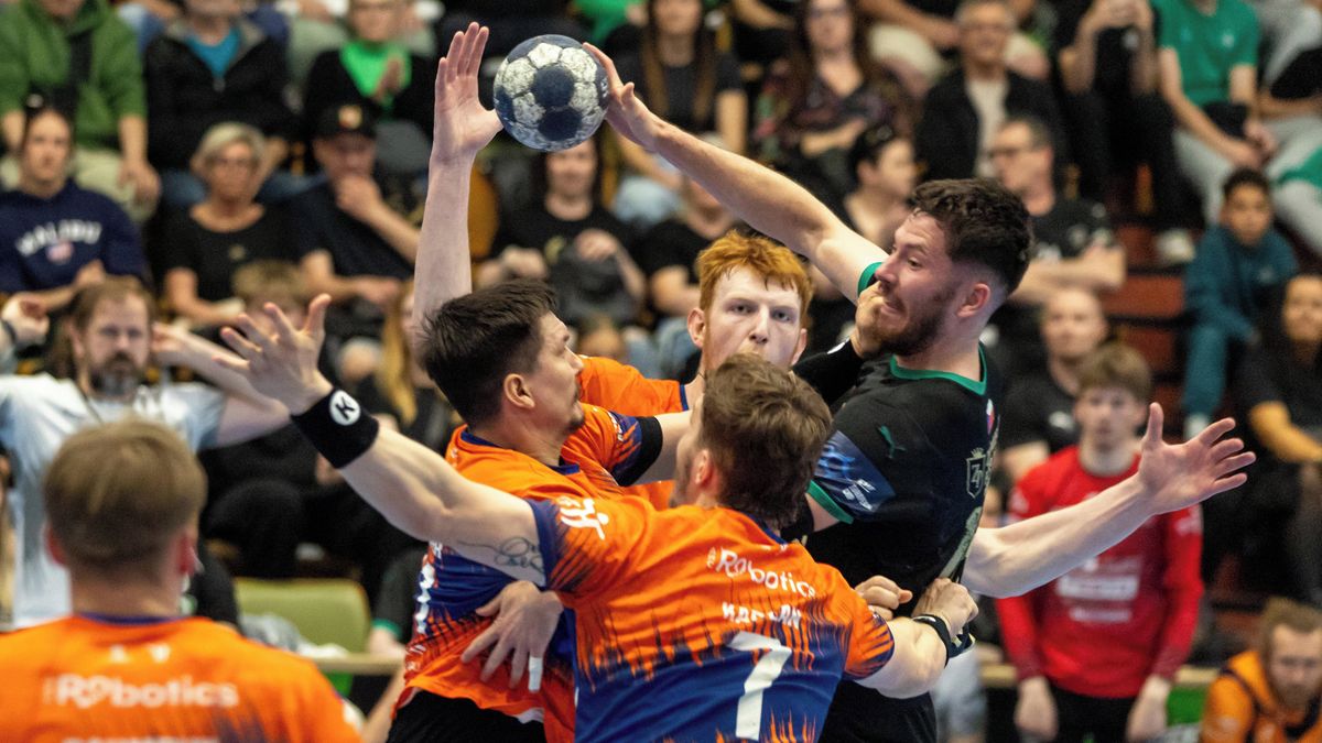 Plzeň Claims Handball Title After Stunning Comeback Against Karviná