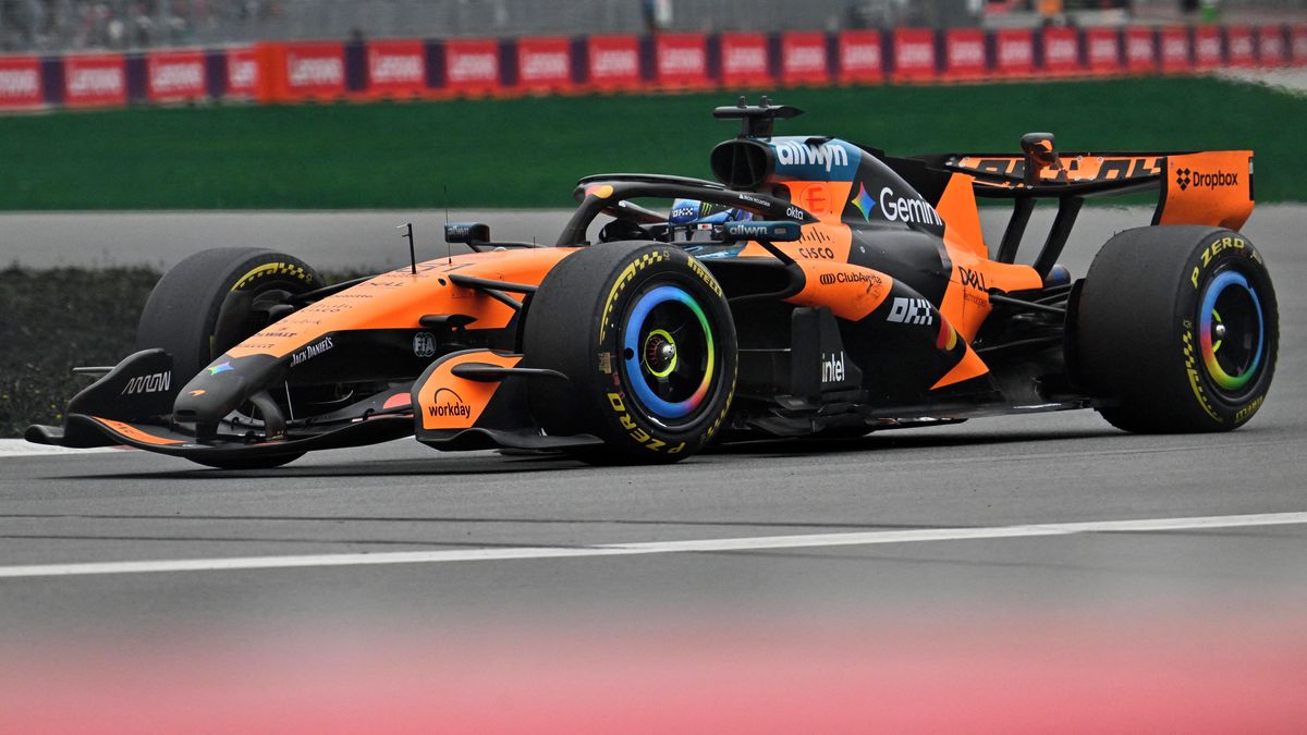 Neobvyklá pocta. Nově objevený druh vosy ponese jméno pilota F1