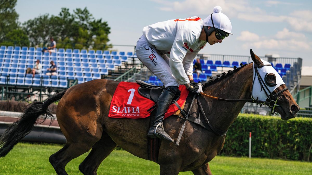 Druhou kvalifikaci na Velkou pardubickou vyhrála Ironika před Sacamirem