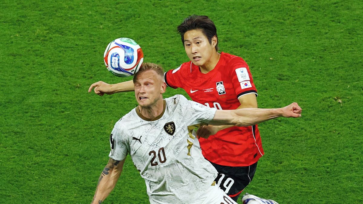 Výjimečný zážitek českého reprezentanta při MS: Byl jsem docela vypleskaný
