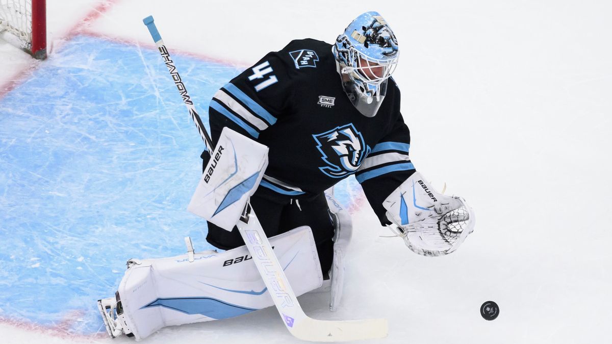 Vaněček má v NHL nové angažmá
