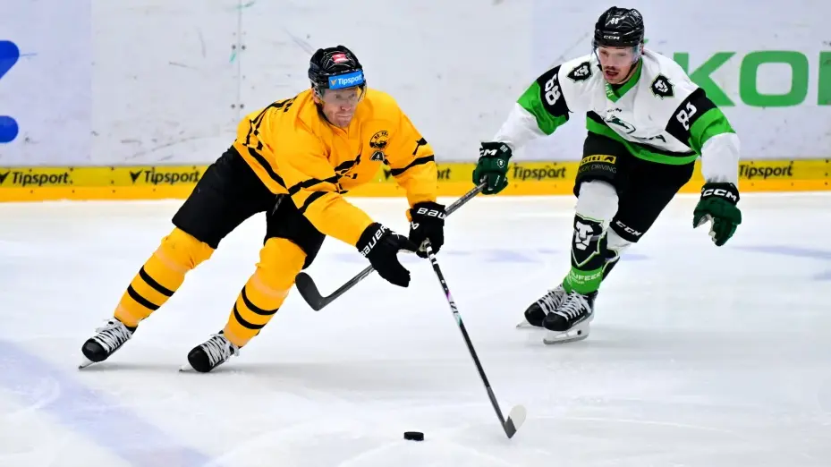 Litvínov zvládl generálku na extraligu
