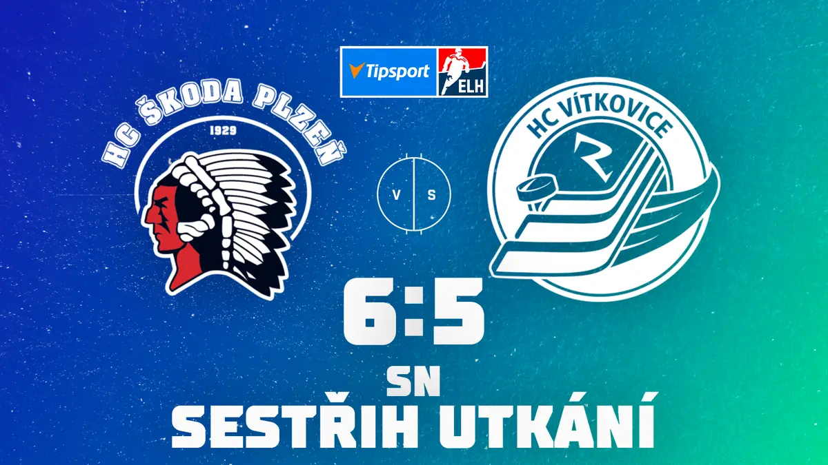 ONLINE: Videomomenty ze zápasu Litvínov - Plzeň